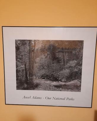 QUADRO CON POSTER DI " ANSEL ADAMS "