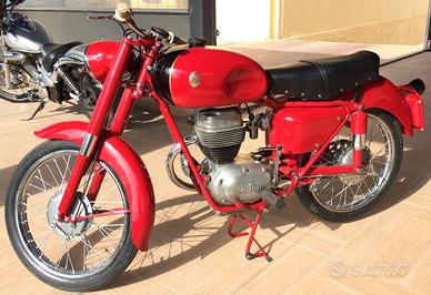 MASERATI 160/T4 del 1954