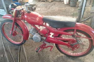 Cardellino 75 Moto Guzzi