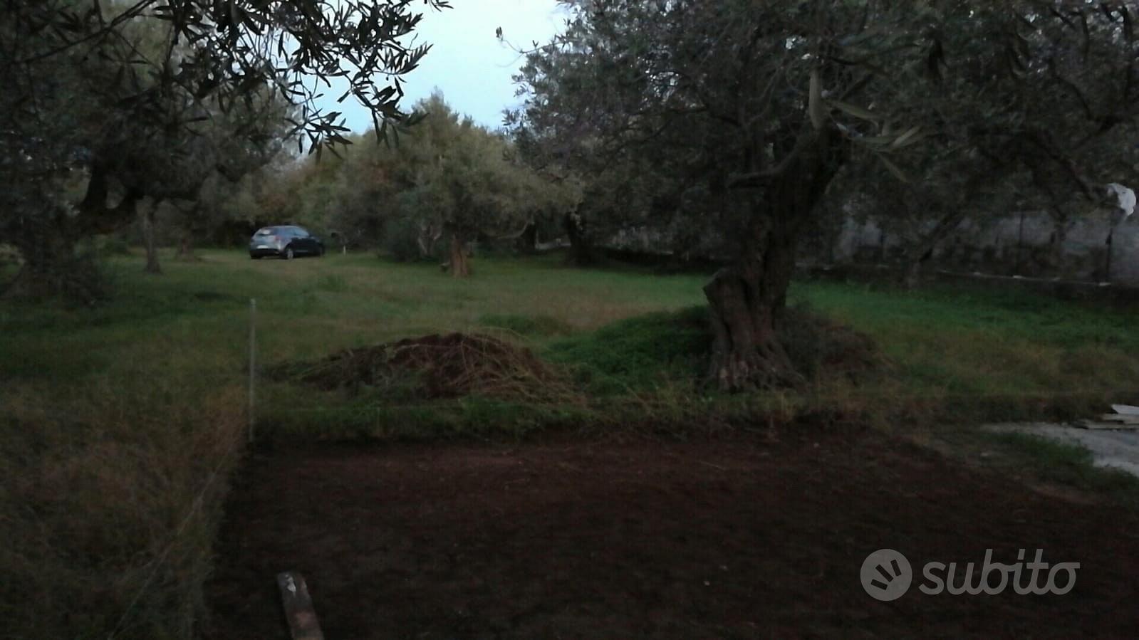 Terreno agricolo pianeggiante carrabile - Vista 4
