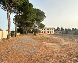 Terreno edificabile con viale alberato