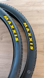 Coppia Pneumatici Maxxis Ikon 29"  2.20 