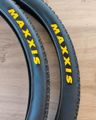 Coppia Pneumatici Maxxis Ikon 29"  2.20 