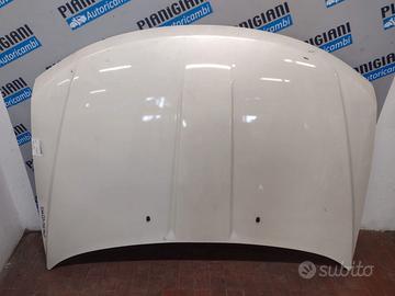 Cofano Fiat Freemont 2014