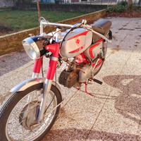 MOTOBI 250 SS 1967