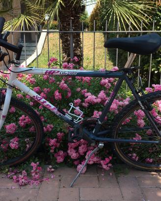 Bicicletta Vintage Atala UP MP OS.2100