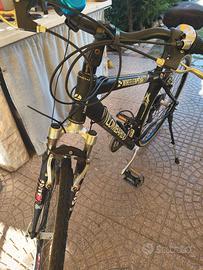 bicicletta