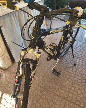 bicicletta
