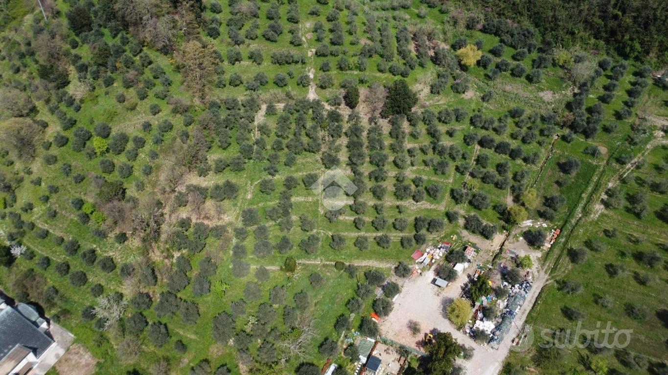 TER. AGRICOLO A PISTOIA - Vista 3