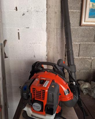 soffiatore professionale usato solo 2 volte..motor