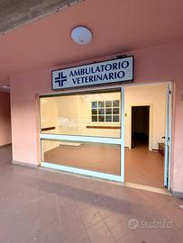 Locale commerciale / ufficio fronte strada