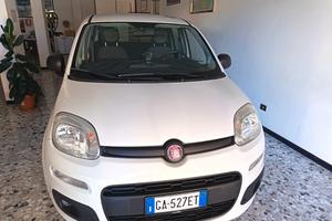 Fiat Panda 1.2 Easy easypower Gpl 69cv my19