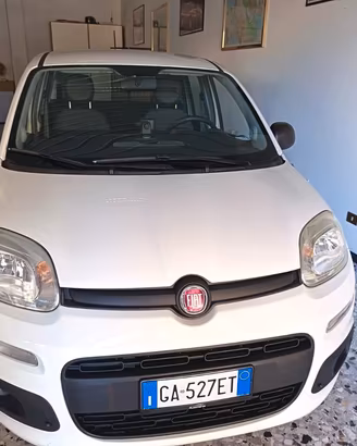 Fiat Panda 1.2 Easy easypower Gpl 69cv my19