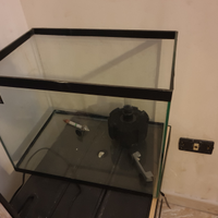 Acquari da 30 litri