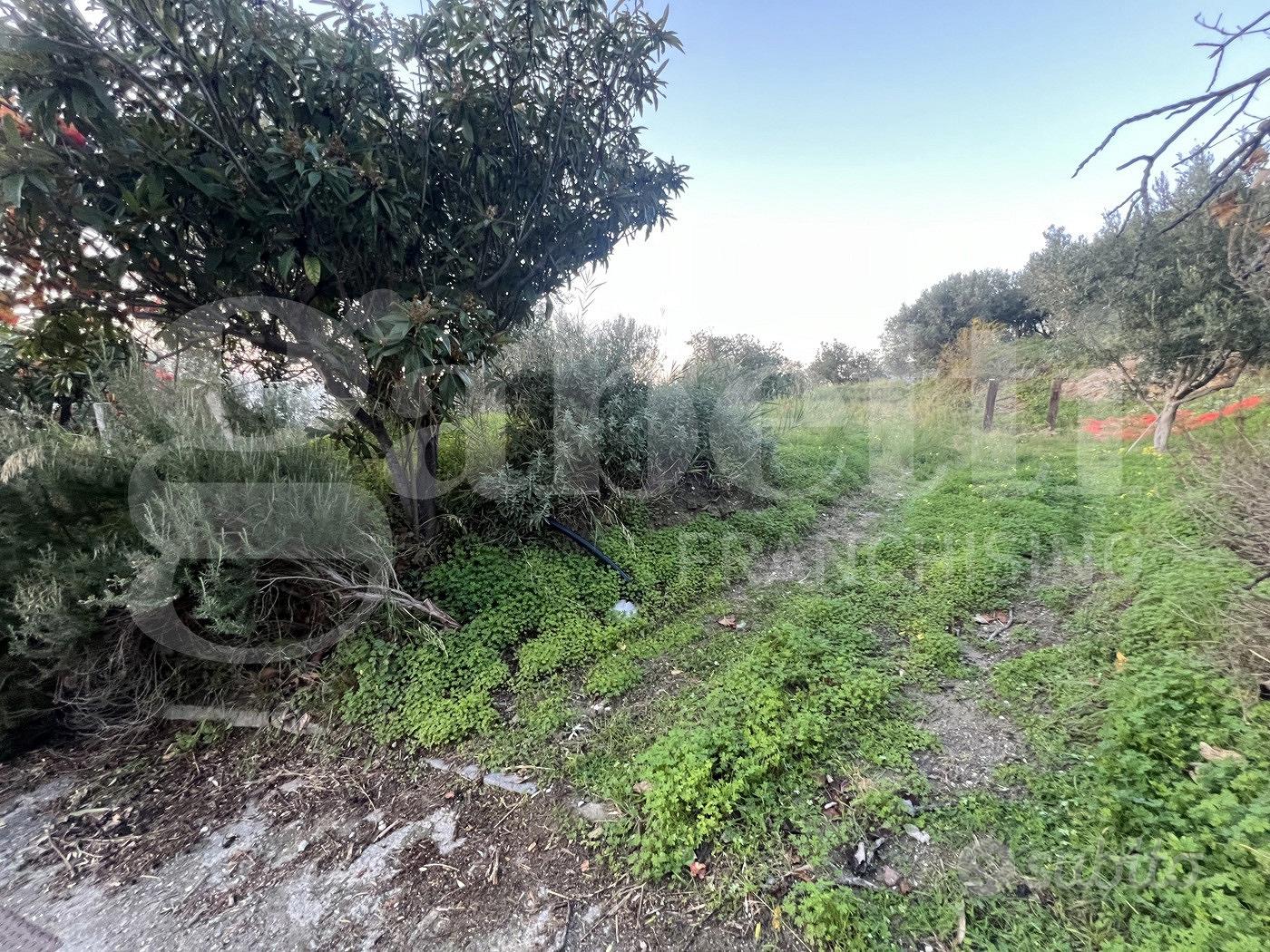 Terreno Residenziale Amantea [Cod. rif 3254168VRG] - Vista 4