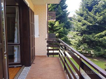 Disponibilità: stagione invernale