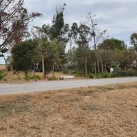 Terreno Zona Perelli 1 - Piombimo