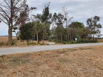 Terreno Zona Perelli 1 - Piombimo