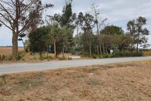 Terreno Zona Perelli 1 - Piombimo