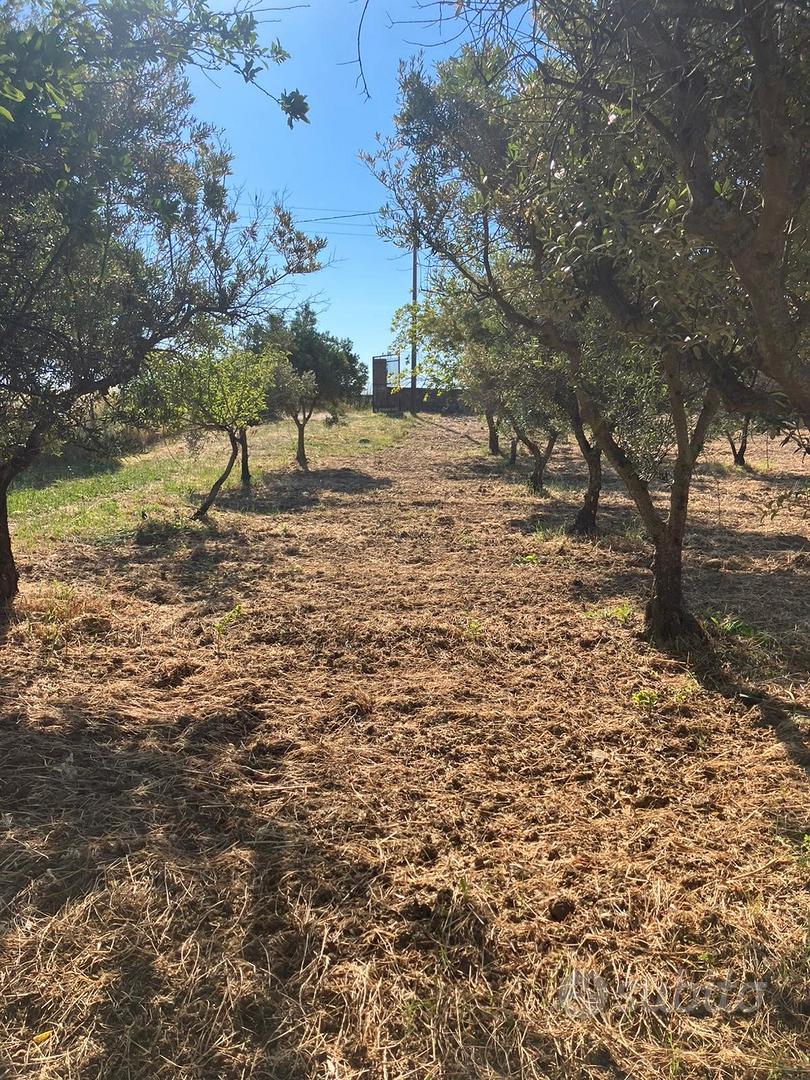 appezzamento - Vista 2