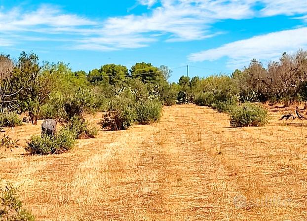 Terreno agricolo a Galatone (LE)