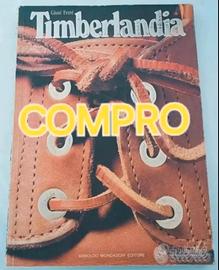 Cerc.o libro TIMBERLANDIA di Giusy Ferrè Anni '80