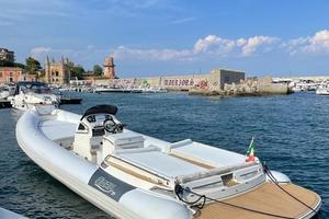 Gommone noah 29
