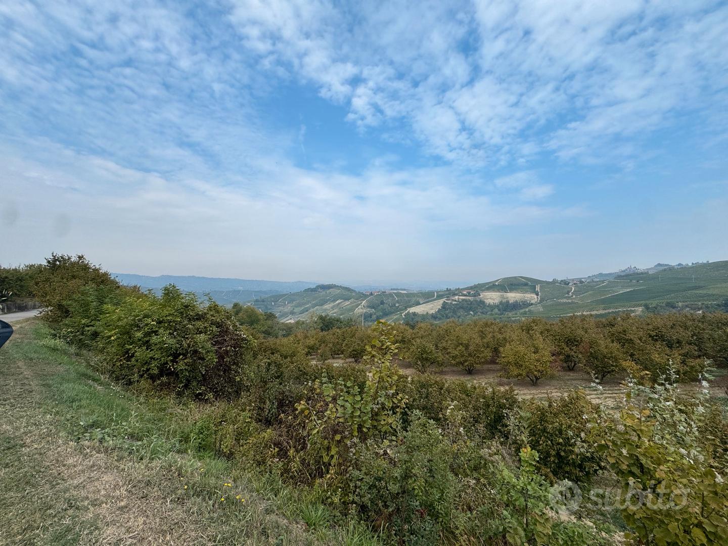 Terreno Agricolo 15000mq - Vista 5
