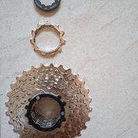 Pignone MTB 8 velocità