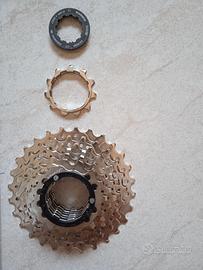 Pignone MTB 8 velocità