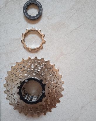 Pignone MTB 8 velocità