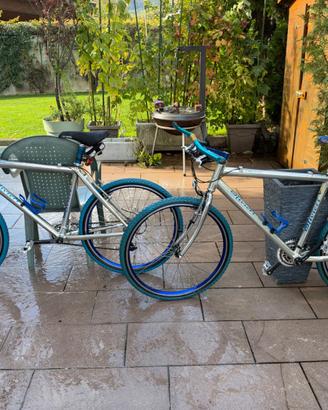 Coppia Mountain Bike Vintage Olivieri Alluminio