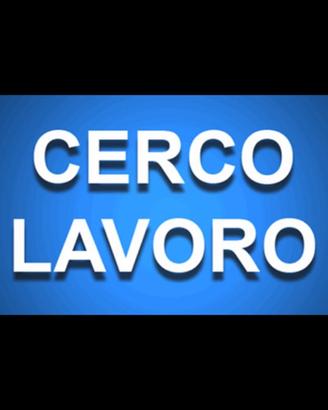 Addetta ai servizi di Segreteria - Impiegata