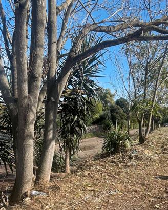 Terra da riporto o da cantiere x riempimento
