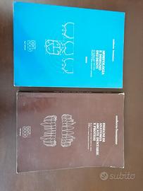 Libri anatomia dentale e disegno denti