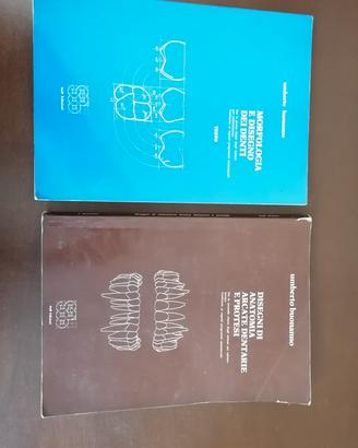 Libri anatomia dentale e disegno denti