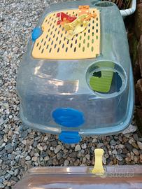 gabbiette in plastica colorata 