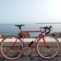 Bici da corsa Champion