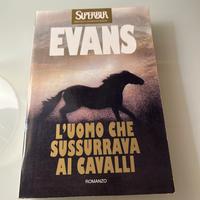 L’uomo che sussurrava ai cavalli, Evans