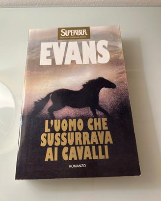 L’uomo che sussurrava ai cavalli, Evans