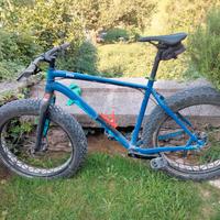 bici fatbike 