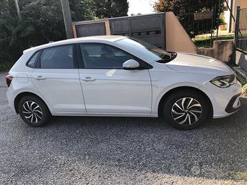 Polo Volswagen dicembre 2023