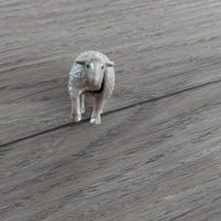 Sorpresine Kinder Pecora NATOONS