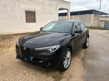 Stelvio executive