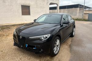 Stelvio executive