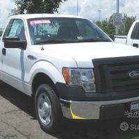 Parabrezza Ford F 150 da 2008 a 2011