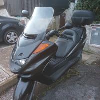 Yamaha Majesty 250 - 2003