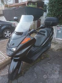 Yamaha Majesty 250 - 2003