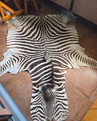 tappeto in vera pelle di zebra