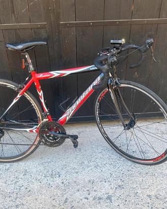 Bici da corsa Montana Mexico